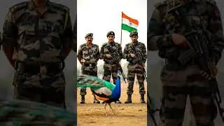 Peacock 🦚 with indian army 🪖.#peacock #national #bird #indianarmy