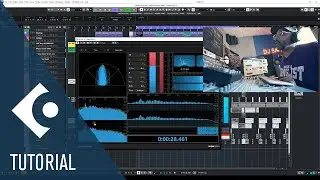 Mix and Master Your Jungle Track with These Tips | DnB Production Basics in Cubase