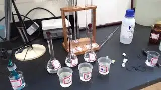 2 Naphthol Lab