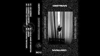 Cestrian - No Words [BC12]