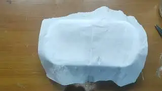 Grow Wheat Using Hydroponic Method - Maisaa 9A