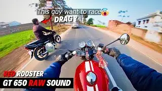RE Continental GT 650 Loud Pure Exhaust Sound | Red Rooster Exhaust | POV Ride Asmr @insta360