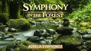 Symphony in the Forest | Cinematic Orchestral Journey Through Nature