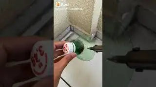 como evitar que entre insetos pelo ralo!