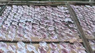SQUID PROCESSING HOUSE, PAK NAM PRAN, THAILAND, JUNE 1, 2012