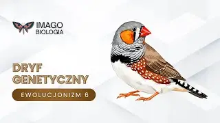 Dryf genetyczny