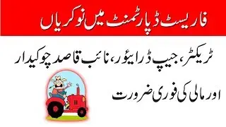 Forest department new jobs 2019, Apply Now  By Uptodate jobs