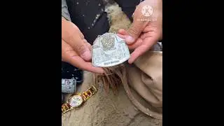 1992 Medal I found & lots of dollars 💰$🤑! #shorts #ytshorts #viralshorts #treasuresearch #ytviral