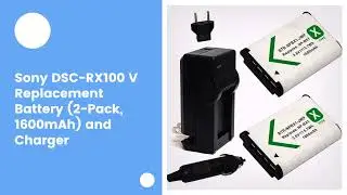 Sony DSC-RX100 V Replacement Battery (2-Pack, 1600mAh) and Charger