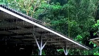 🌧️ Gentle Rain for Deep Sleep,Study and Relaxation 🌧️
