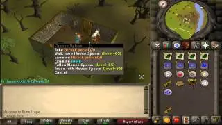 RuneScape 2007 luring | 2 small lures | Update