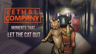 The Cat's Out Of The Bag!