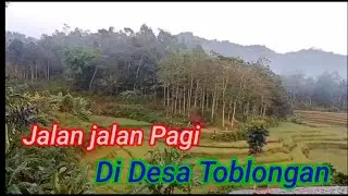 Jalan jalan Pagi Di Desa Toblongan