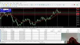 LIVE Forex Signals | Volatility Indices, Crash & Boom, Gold | High-Accuracy Trades