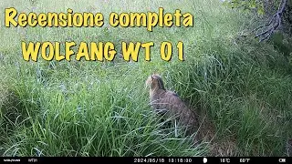 Recensione completa della fototrappola WOLFANG WT 01: scopri tutte le sue funzionalit&agrave;!
