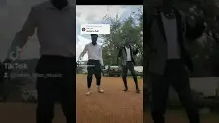 vindancer ug