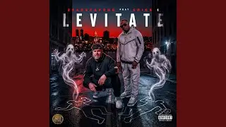 Levitate ft Spice 1