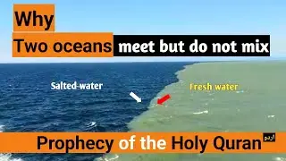 The Miracle of Two Seas that Meets but Do not Mix | Prophecies in Quran | Worldamazia TV