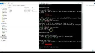 8. Git Stages