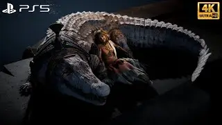 Assassin's Creed Origins - The Crocodile's Jaws (Main Quest Walkthrough) - No Commentary