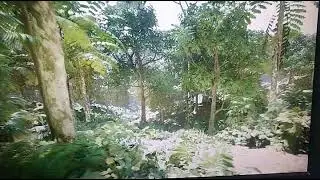 Unreal Engine 5 GTX 1650.