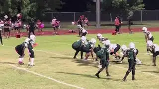 Malcolm Williams (TX)- C/O 2029 DL Week 5 & 6 Highlights