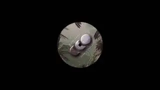 Rob Duke - Jungle Track