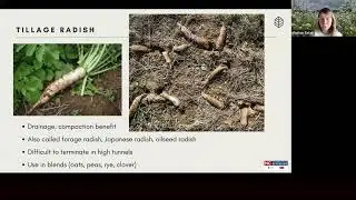 Cover Crops for Small Farm Systems Meghan Baker, NC Cooperative Extension, Buncombe Co., Small Farms
