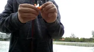 Fishing on the river raisin| with Outdooradventurez