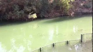 !!Miracle in the Jordan River. Israel. ChristmasЧУДО в реке Иордан Израиль. Рождество