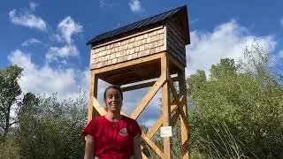 Creation and Protection of Anthropogenic Bat Habitat in the RDCK Region