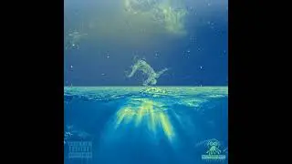 Nastygod - FLAWS (FLOATING IN A SOULLESS ILLUSION)
