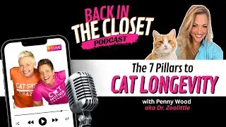 7 Pillars to Cat Longevity