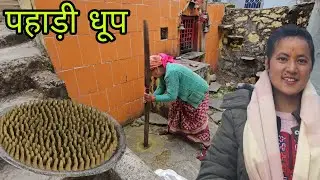 पहाड़ों में कैसे बनता है धूप ||Pahadi Lifestyle Vlog ||Avantika Chauhan Vlogs 