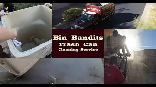 Bin Bandits AZ - Trash Bin Cleaning Service