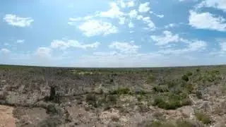 360 Baobab Trees Aerial Views Madagascar