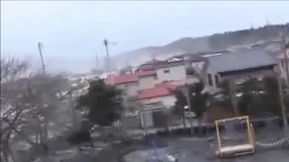 Japan Tsunami weird creatures coming out of water