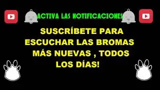 NO QUE NADAMAS ERA TU AMIGO ?? El panda show 2017