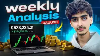 Gold Weekly Forecast in Hindi/Urdu | 2 - 6 Feb  2026 Analysis | TRADE WITH TANHA