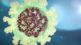 How COVAXIN works