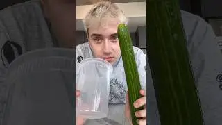 Sometimes you need to eat an entire cucumber