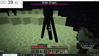I Beat My Record For Breaking An Endcrystal!  T  A  S