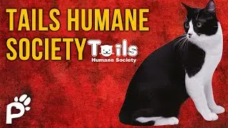 PARTNERSHIPS Are Important | Tails Humane Society | Pawareness Podcast No. 78