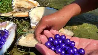 💎 🔮 Mystical Shell, Majestic Gems: Girl's Quest Unlocks the Secret of a Giant Clam's Treasures
