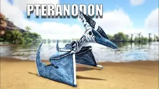 Ark | Pteranodon | Wszystko o Pteranodon | 5 | Ark survival evolved |
