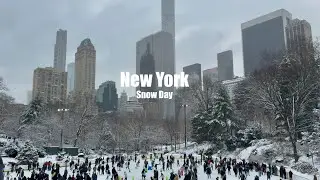 Snow Day Walk &bull; New York City ❄️ central park 