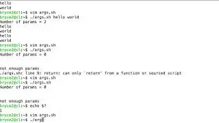 using positional parameters in scripts