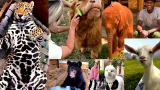 Funniest Pets & Animals | cats | dogs | birds |wild animals | #cat #dog #cute_pets #friendly #forest