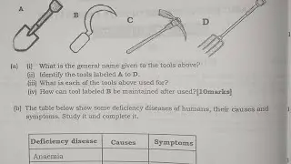 2024/2025 BECE Science Trial Questions
