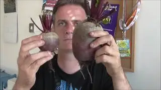 I PICKED A MONSTER - Allotment Grow How #beetroot #gardendesignuk